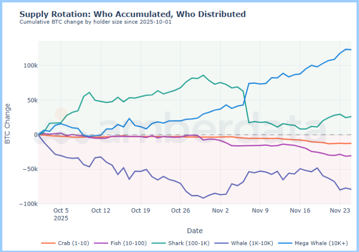 Supply rotation: who accumulated who distributed. Cumulative BTC change by hlder size since 2025.