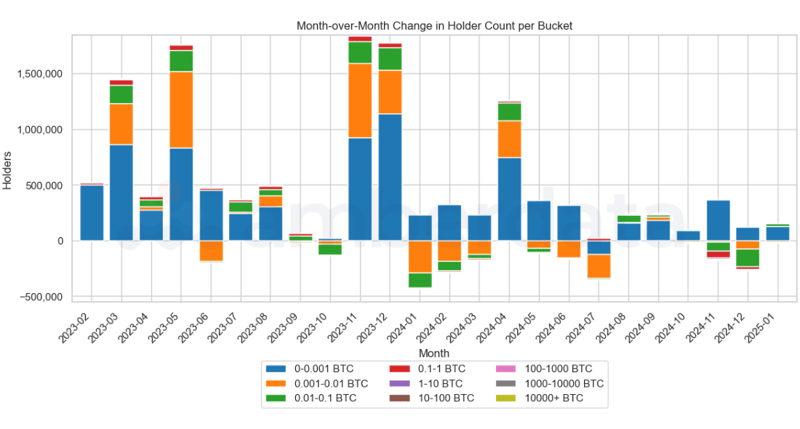 BTC bitcoin month over month change in holder count per bucket 