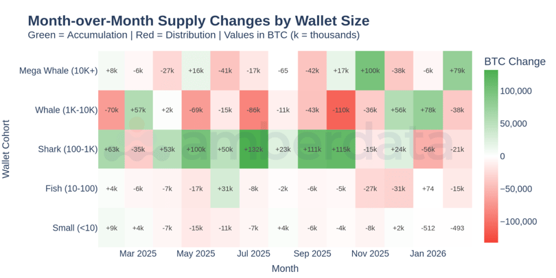 month to month supply changes by wallet size. BTC change
