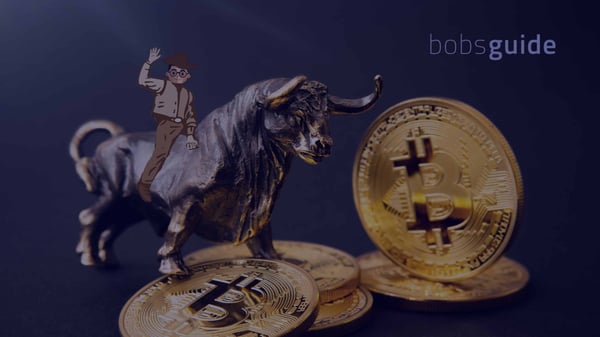 Bobsguide article