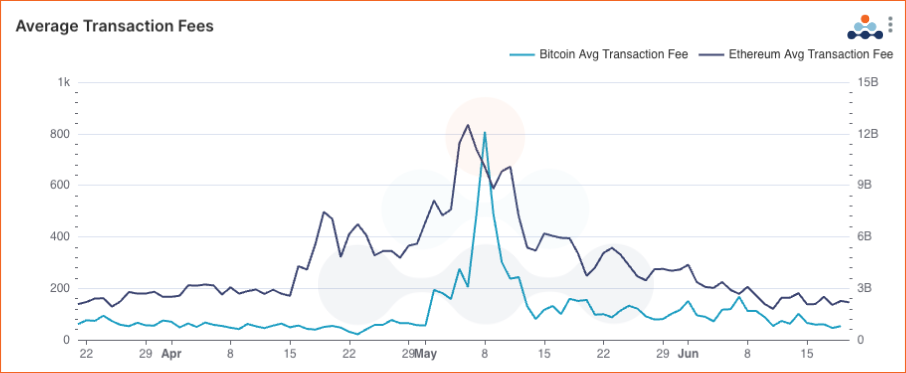 Amberdata Bitcoin and Ethereum daily average transaction fees over the last 90 days.