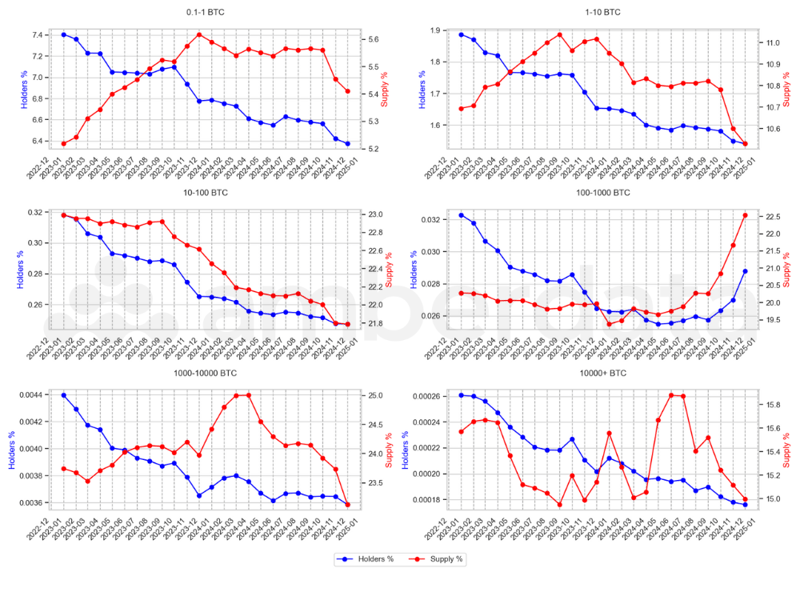 BTC Holders vs Supply by Bucket