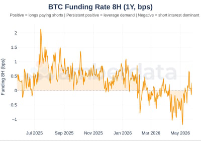 Bitcoin funding rate 8 Hour (1 year, bps)