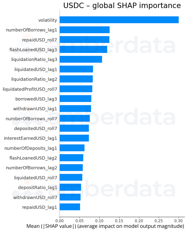 Amberdata USDC Global Feature Importance