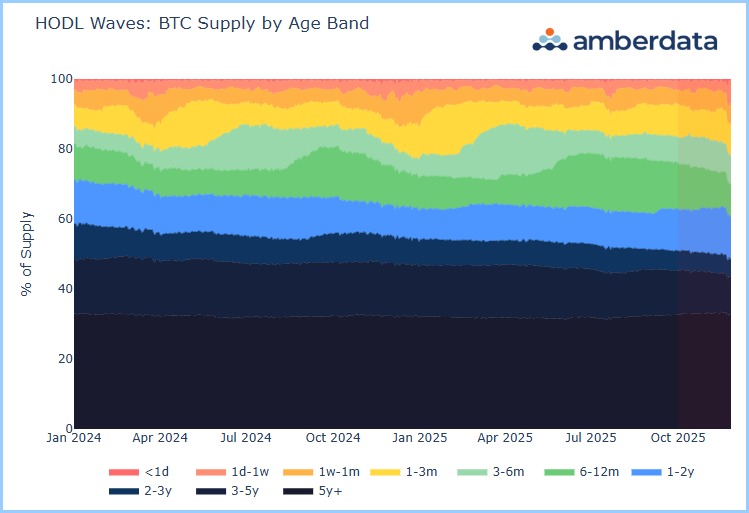 HODL waves BTC supply by age band 