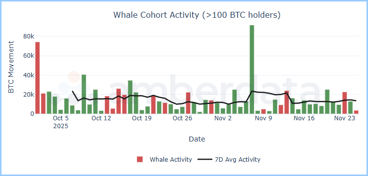 Whale cohort activity > 100 BTC holders