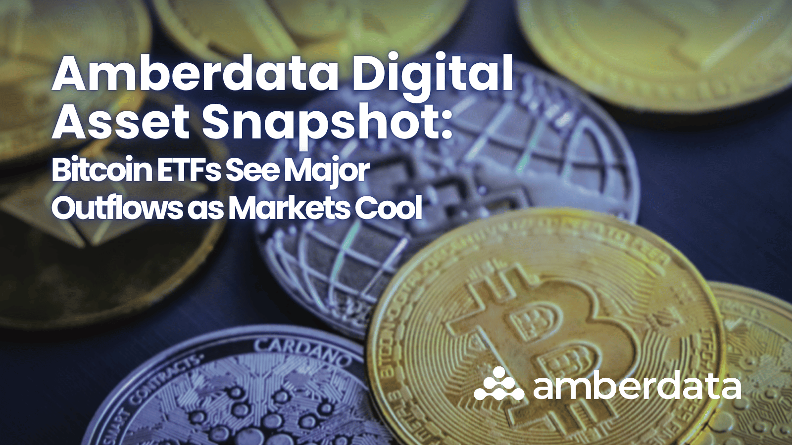 Crypto snapshot net (82) foto