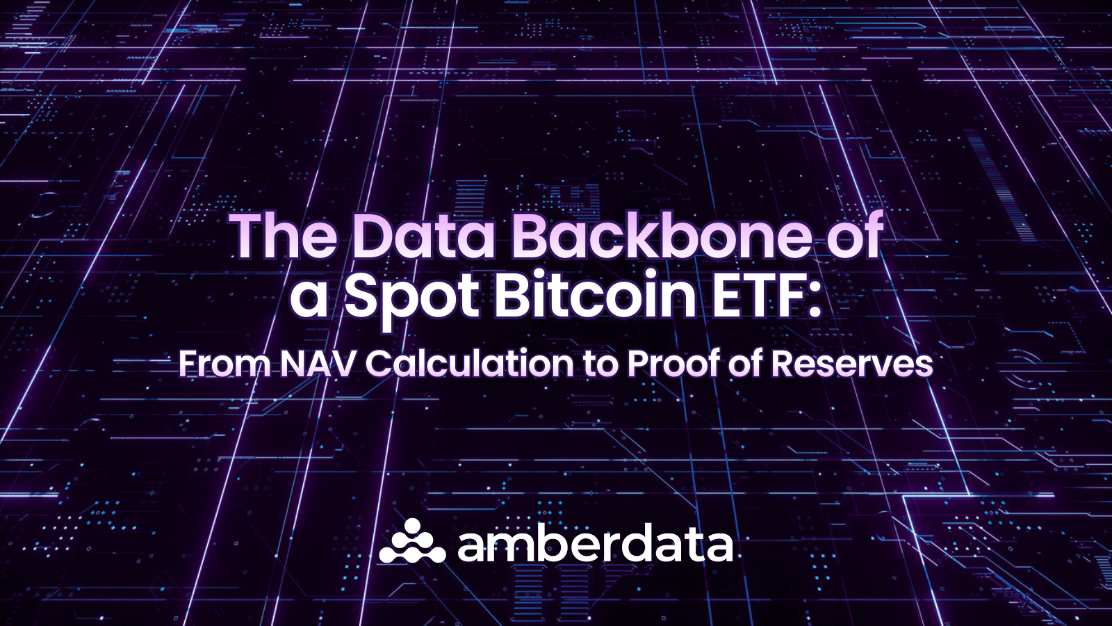 The Data Backbone of a Spot Bitcoin ETF